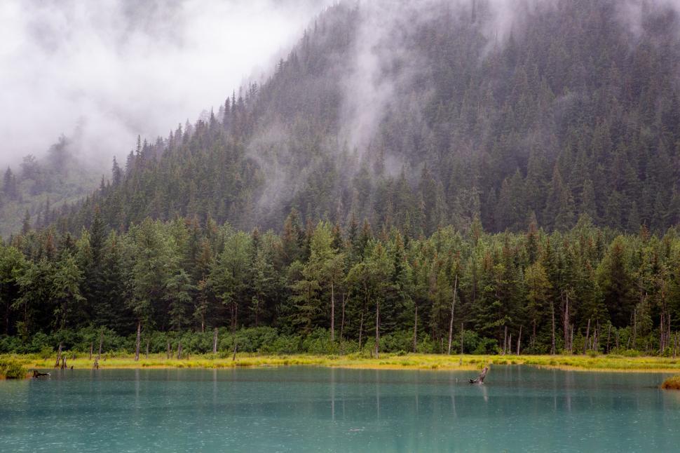 Free Image of Fog veiling forest above turquoise lake 