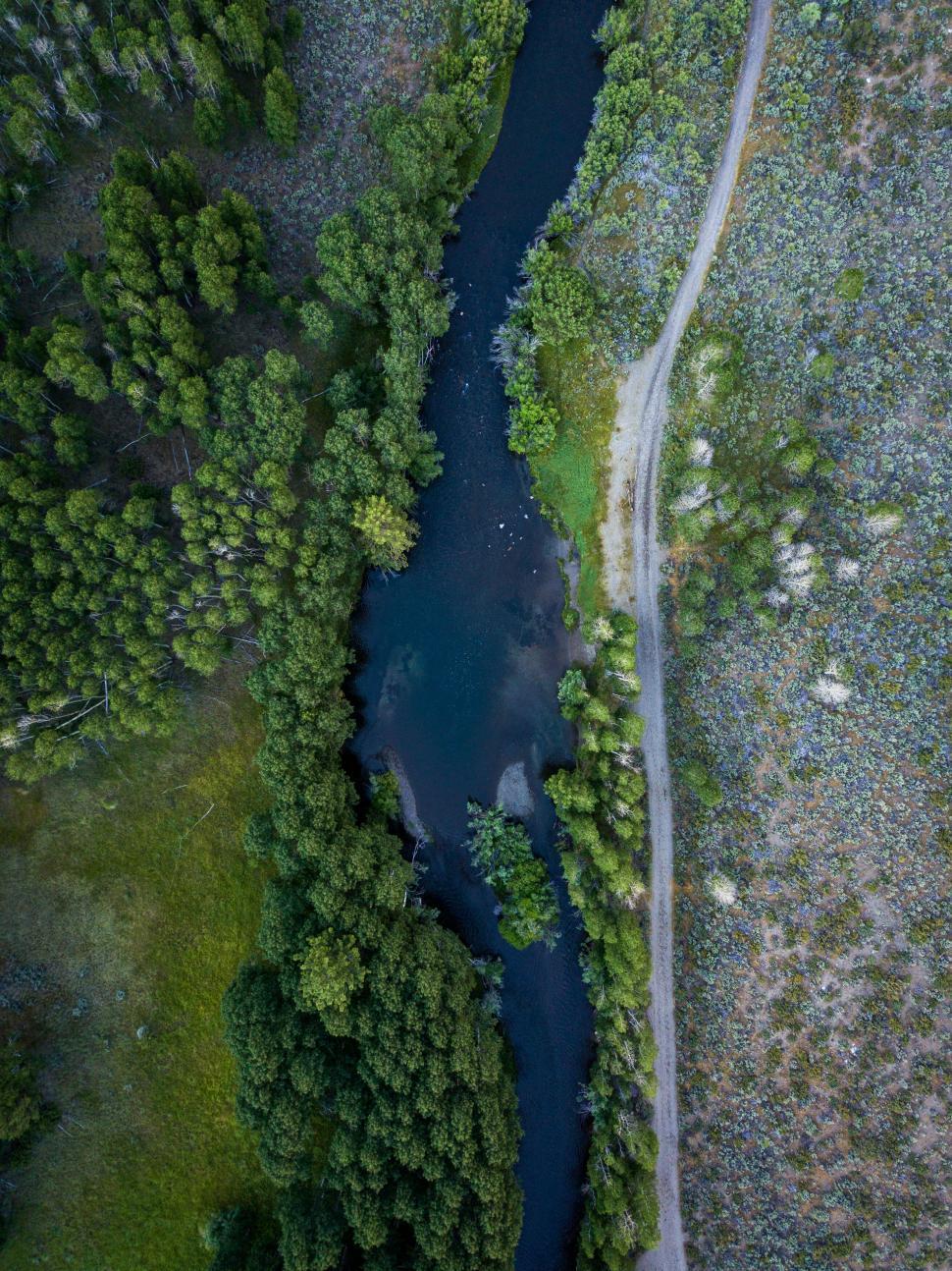 Free Image of River Flowing Through Lush Green Forest 