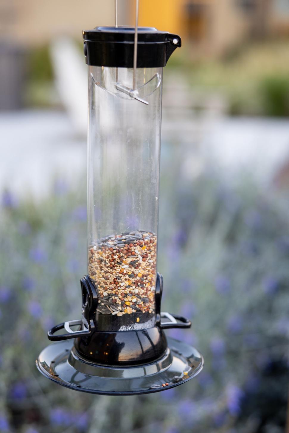 Free Image of Bird feeder filled with seeds hanging in garden 