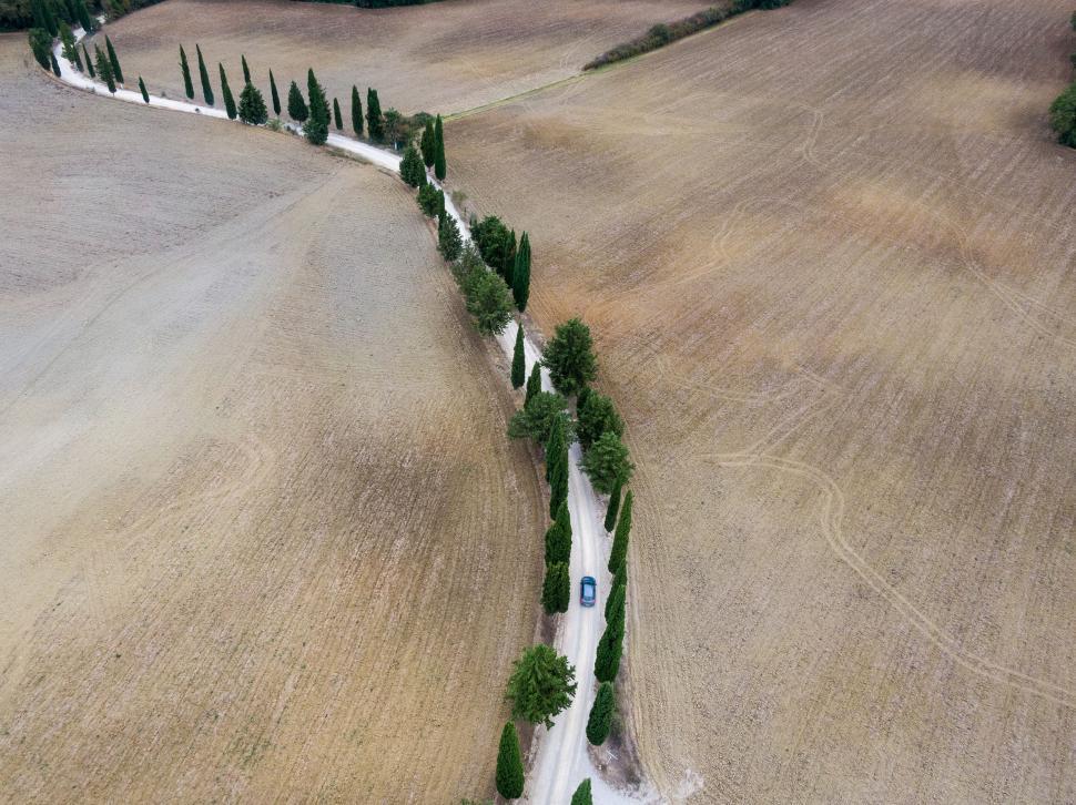 Free Image of Aerial view of a tree-lined countryside road 