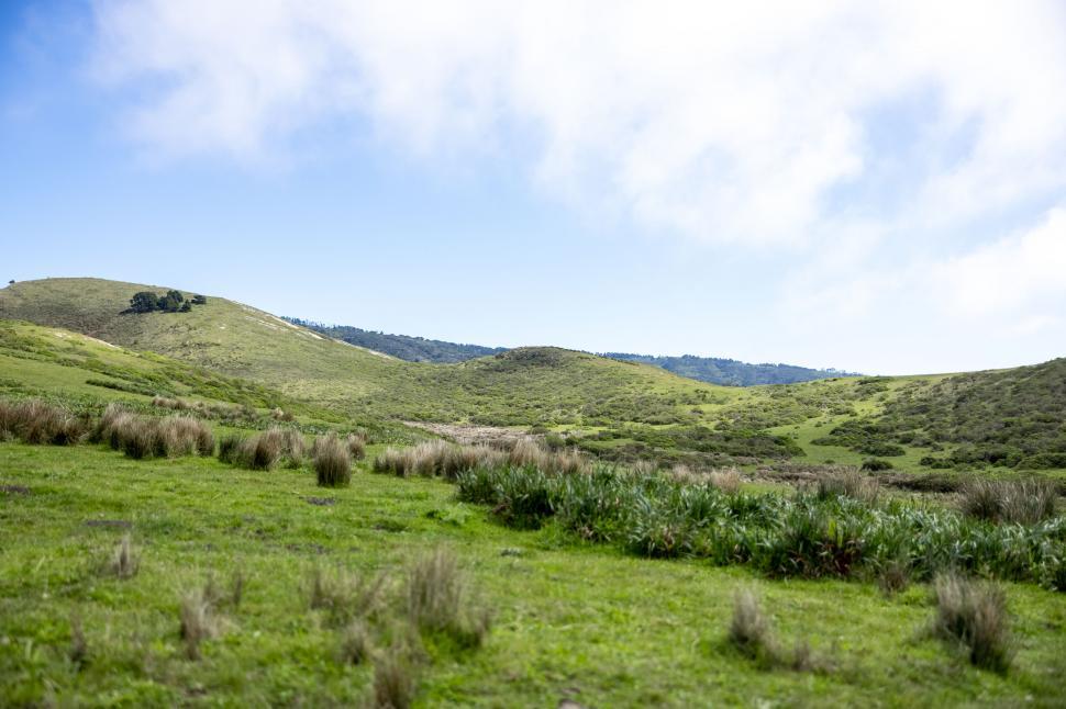 Free Image of Green hills and grassy fields under sky 