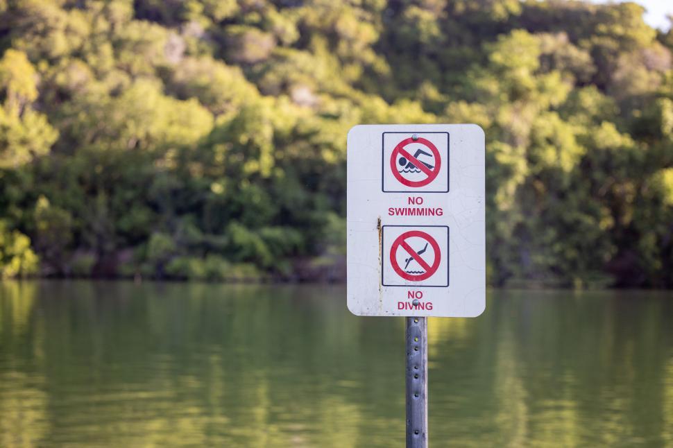 Free Image of No swimming no diving sign at a lake 