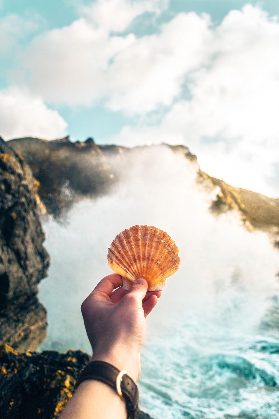 Free Image of Hand holding a seashell against sea spray 