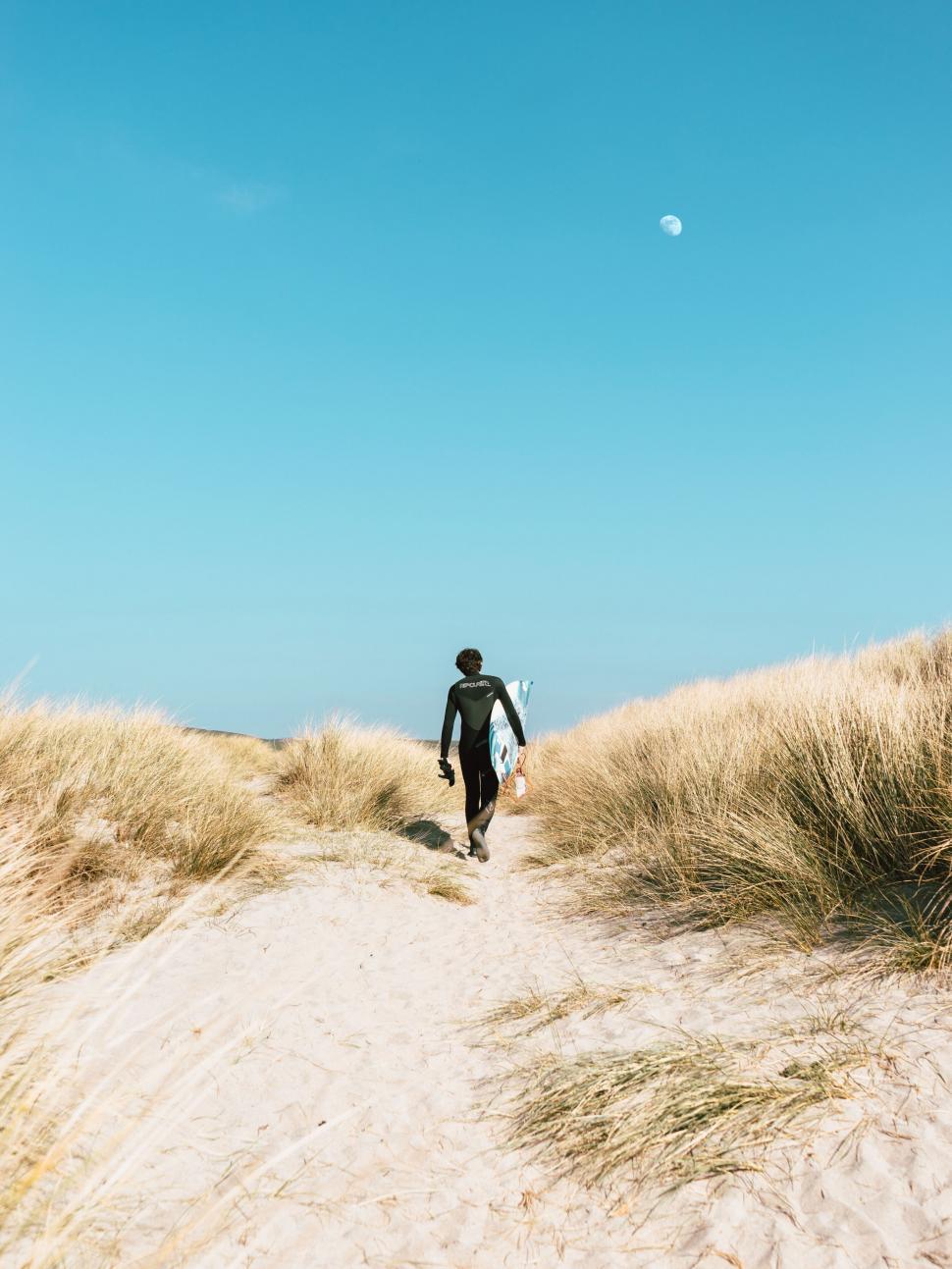 Free Image of Back view of surfer walking towards the sea at dusk 