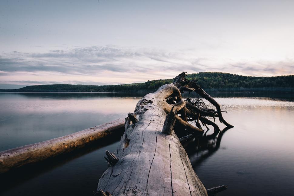 Free Image of Calm lake with a large log foreground 