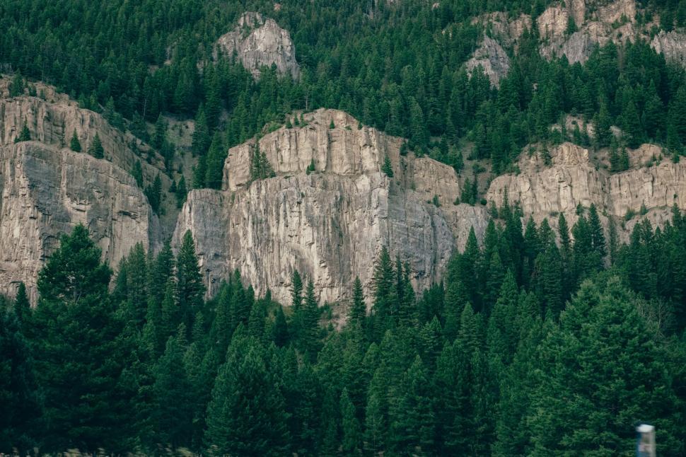 Free Image of Lush greenery on majestic mountain cliffs 