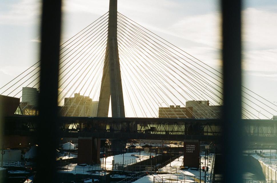 Free Image of Sunset through the bridge cables silhouette 