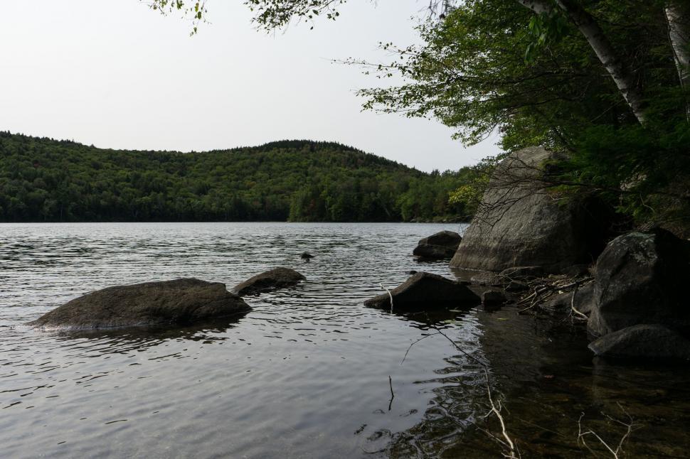 Free Image of Serene lakeside with forested hills 