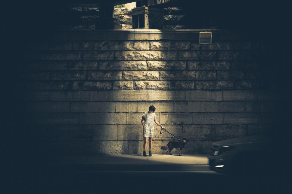Free Image of Woman walking dog in sunlight under bridge 