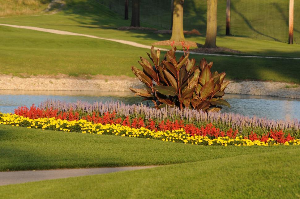 Free Image of Garden arrangement 