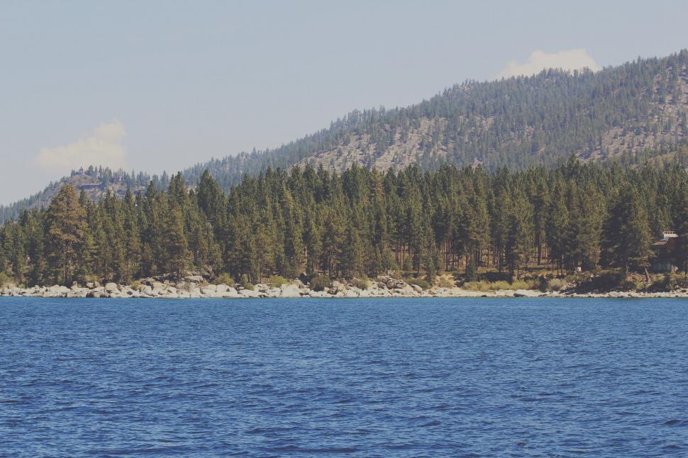 Free Image of Forested lakeshore under clear blue sky 
