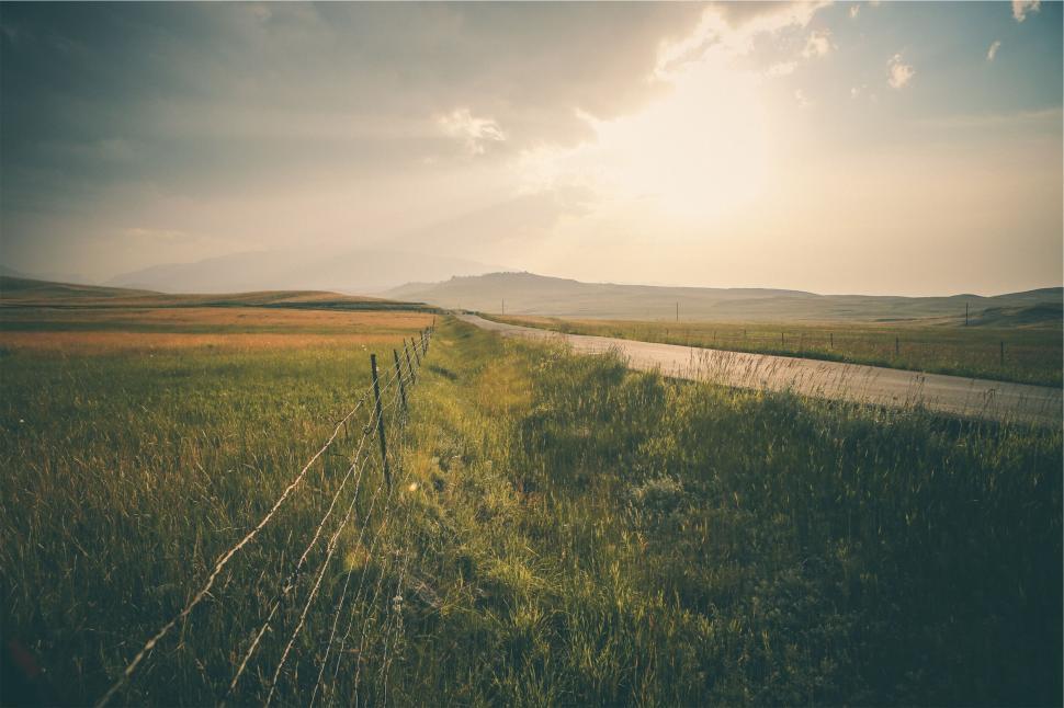 Free Image of Rural road leading through golden countryside 