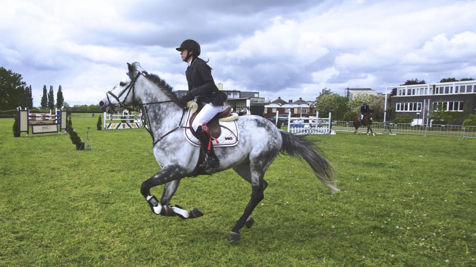Free Image of Equestrian in competition jumping over fence 