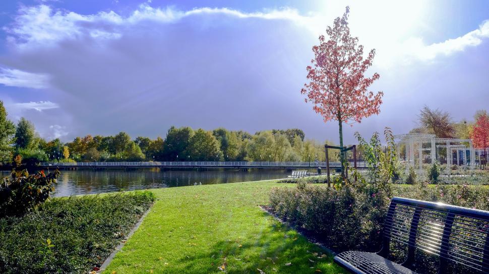 Free Image of Serene park landscape with reflective water 
