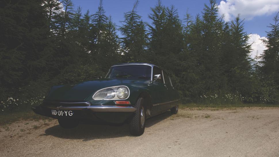 Free Image of Green classic car parked in forest clearing 