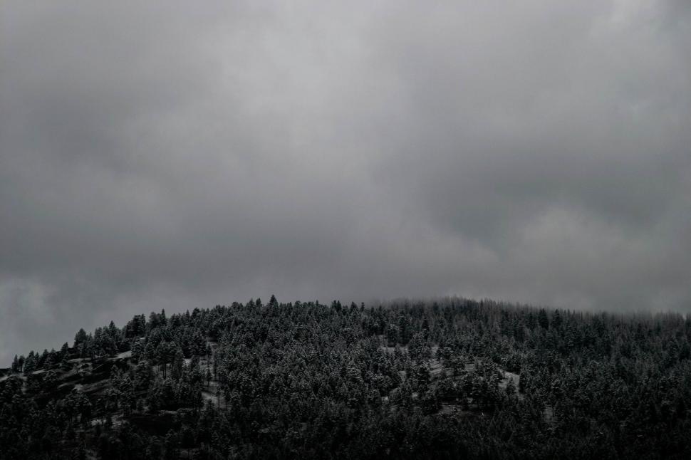 Free Image of Misty snow-capped mountain and forest view 