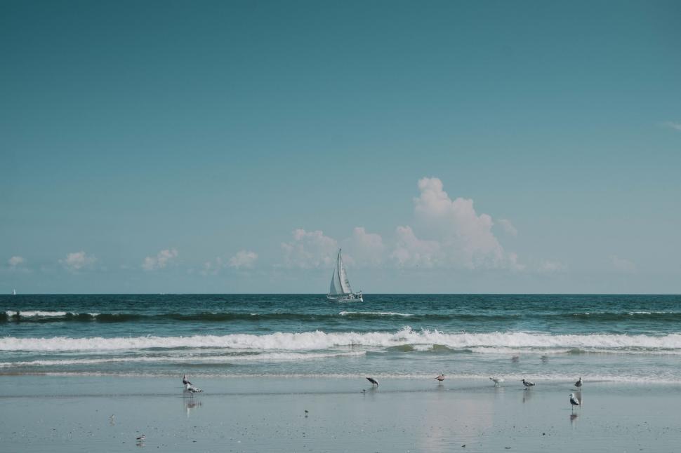 Free Image of Sailboat peacefully sailing on open sea 