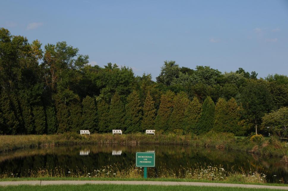 Free Image of Pond 