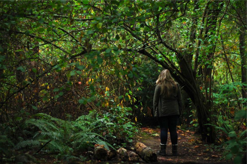 Free Image of Woman walking through a lush green forest 