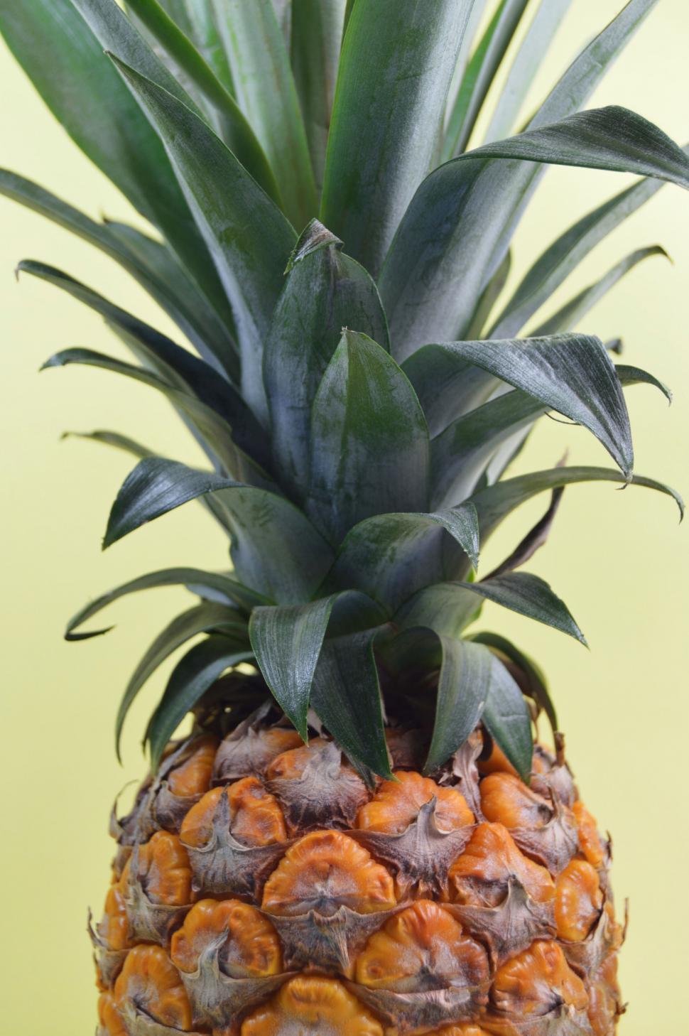 Free Image of Close-up of a pineapple s texture 