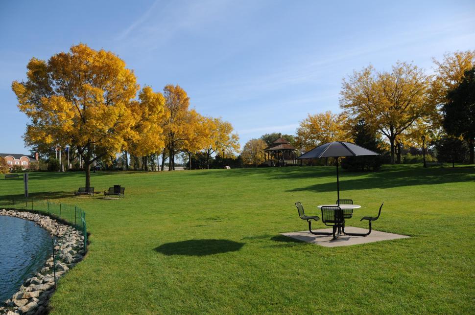 Free Image of Park in autumn 