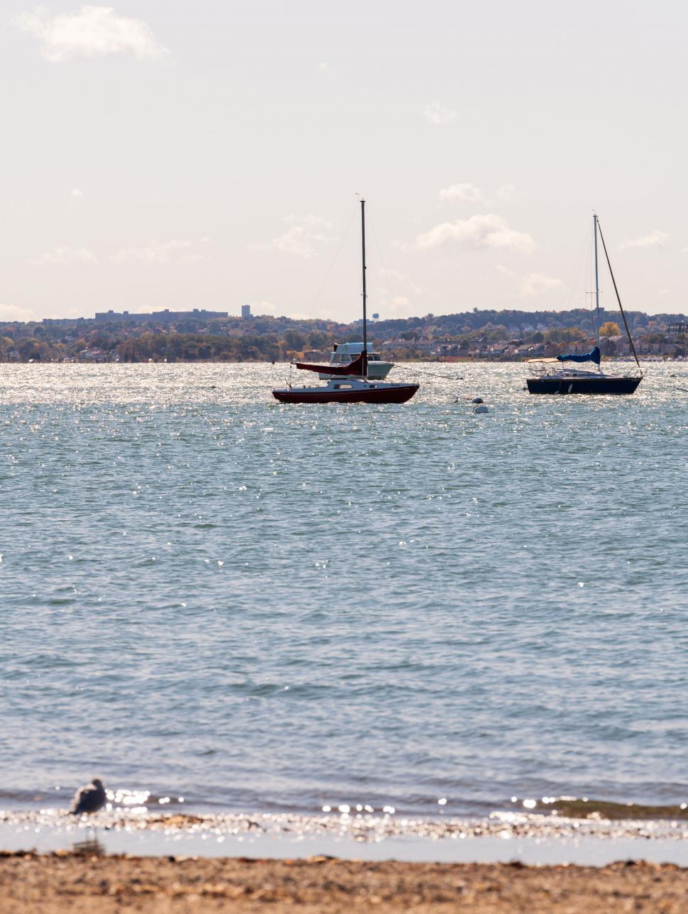 Free Image of Sailboats anchored on tranquil water 