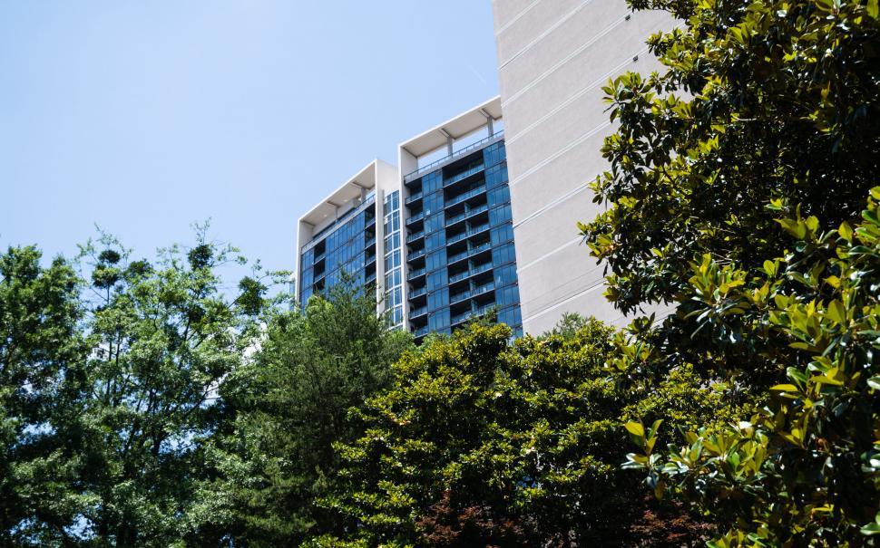 Free Image of Modern building peeking above green trees 