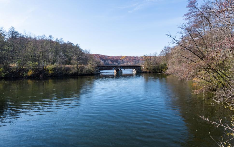 Free Image of Autumn colors reflect on a forest lake 