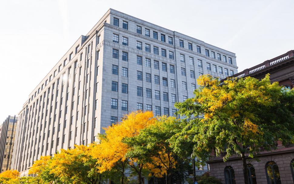 Free Image of Modern building amidst vibrant autumn trees 