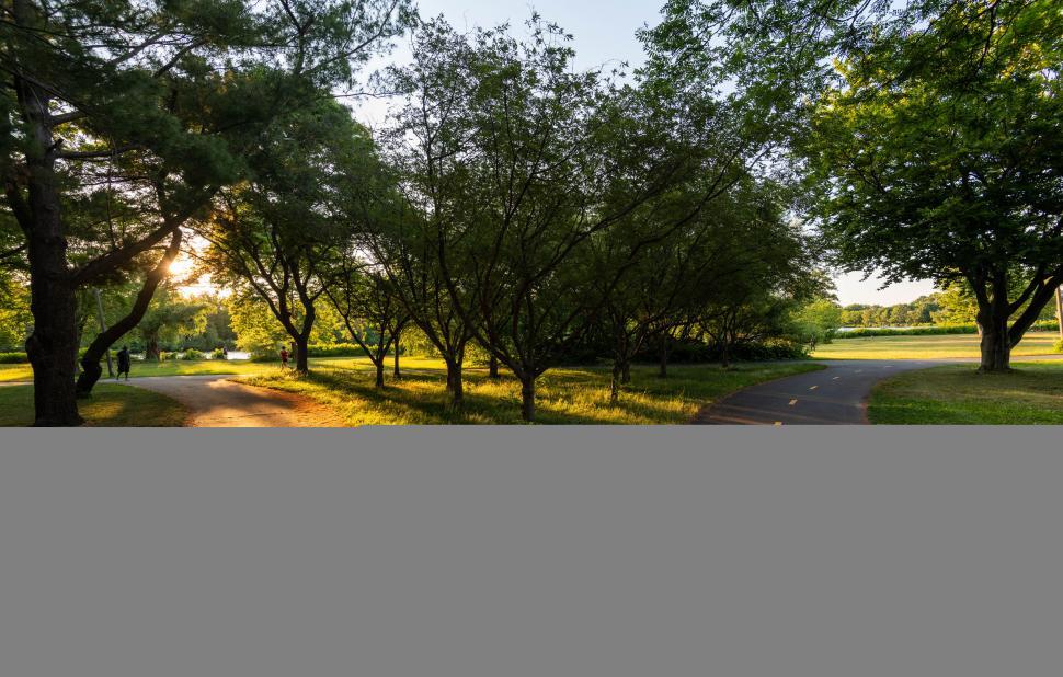 Free Image of Sunlit park path with trees casting shadows 
