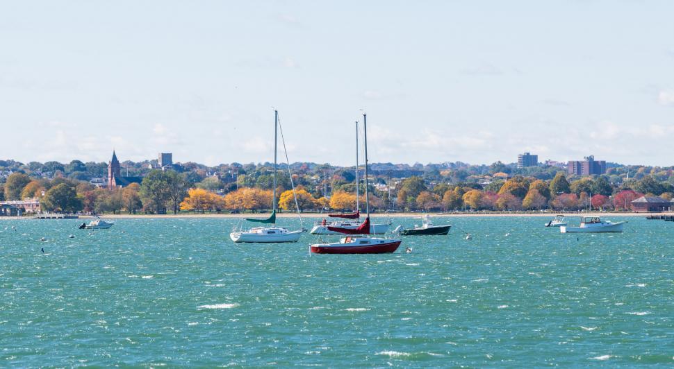 Free Image of Sailboats on blue water with cityscape 