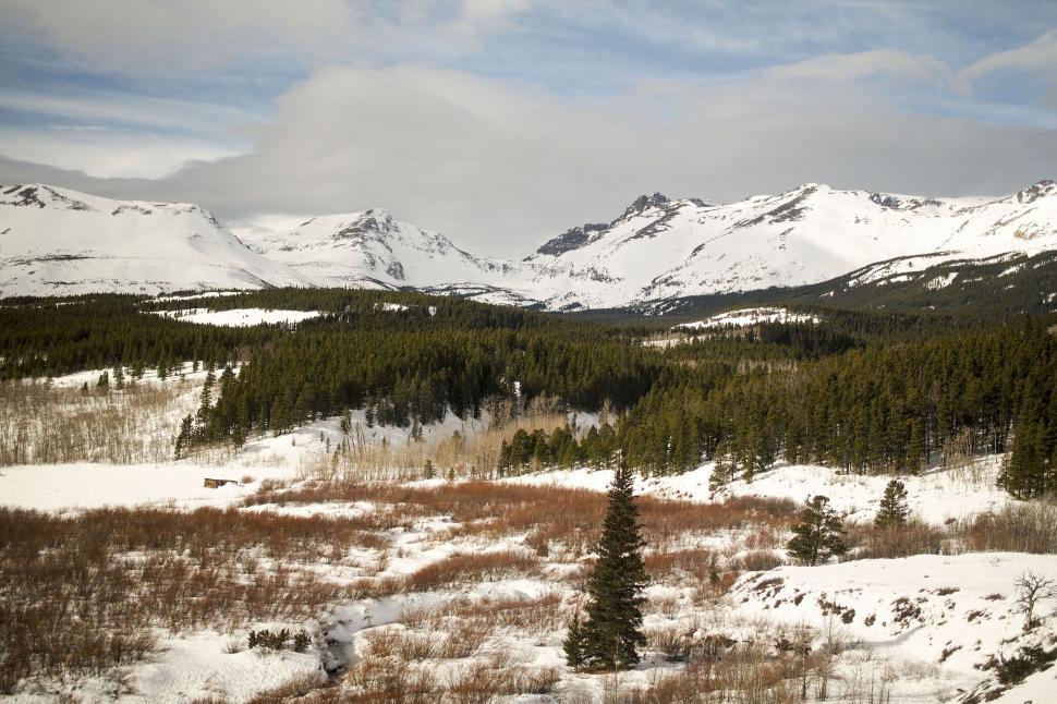 Free Image of Snowy landscape with mountains and pines 
