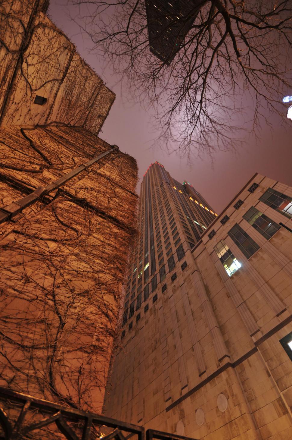 Free Image of Vine covered building 