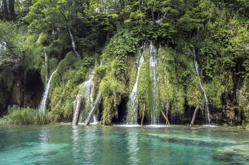 Free Image of Tranquil waterfall in lush green setting 