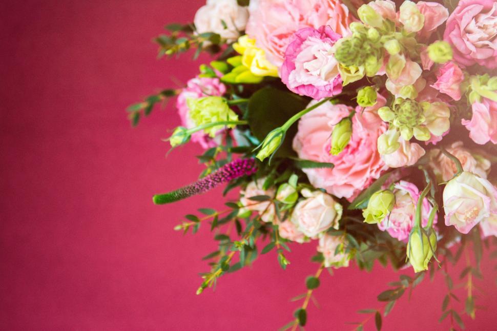 Free Image of Pink and green flower arrangement on pink backdrop 