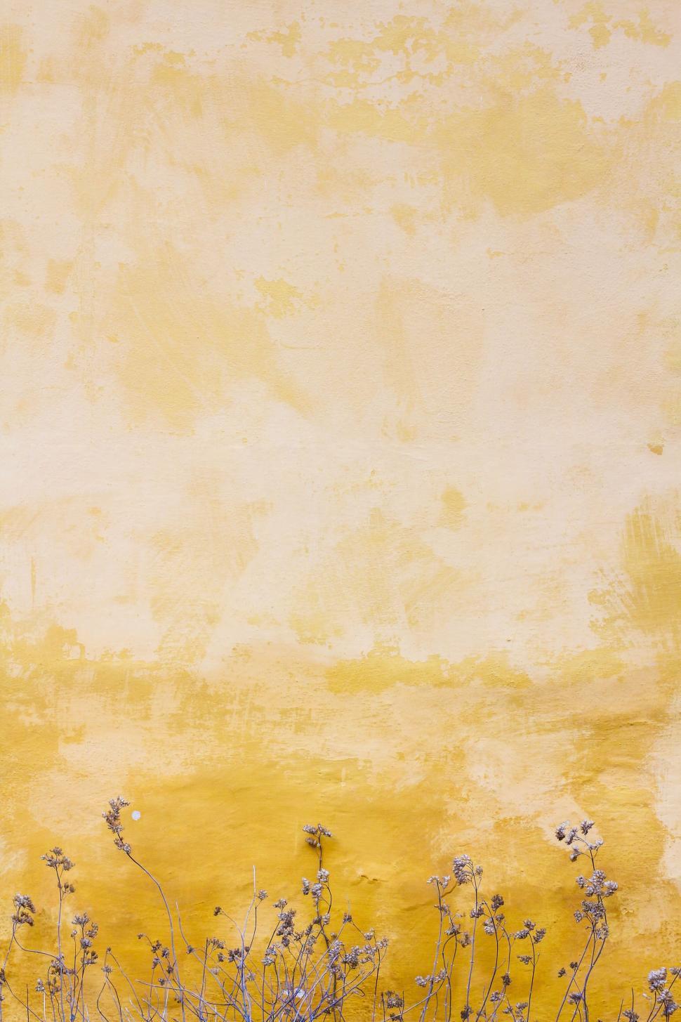 Free Image of Yellow textured wall with dried plants 
