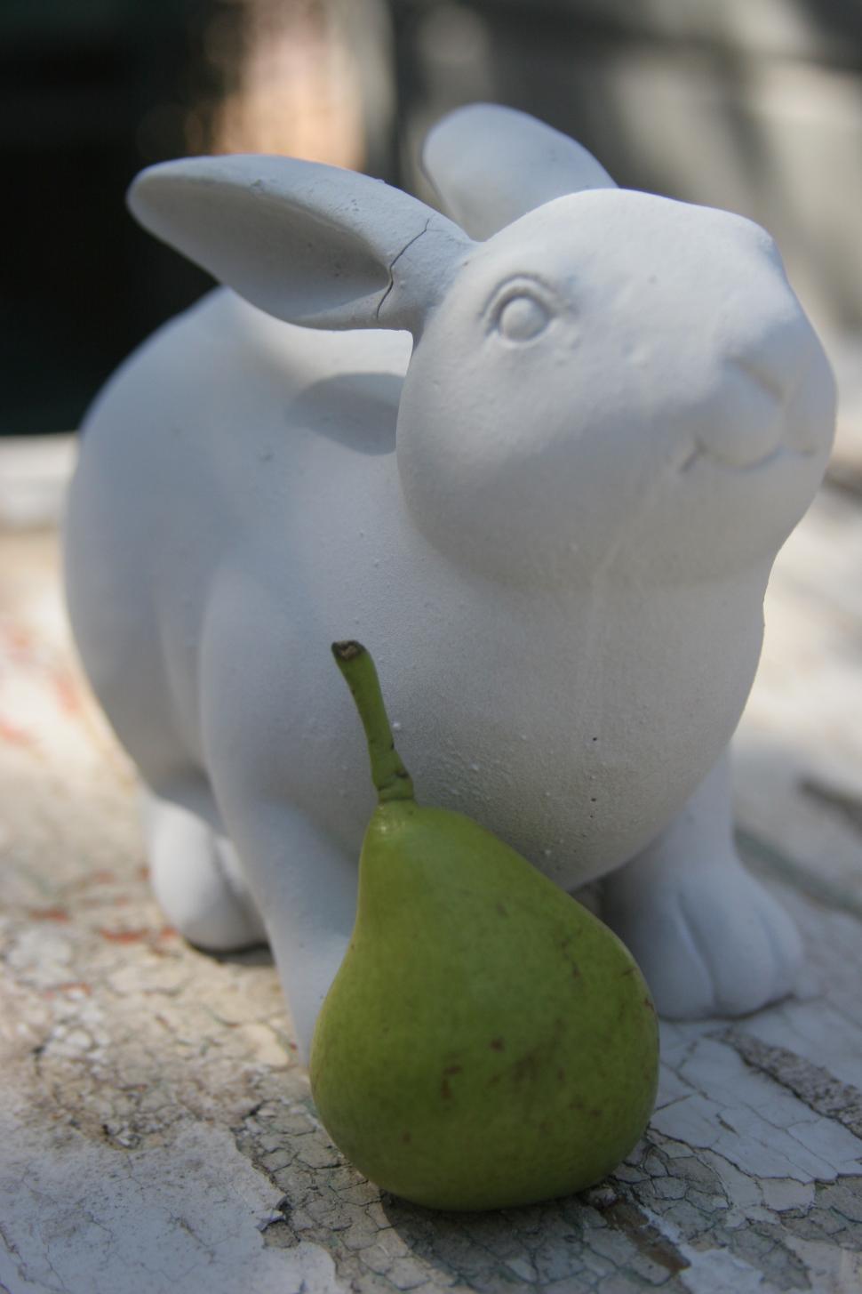 Free Image of Easter Bunny 