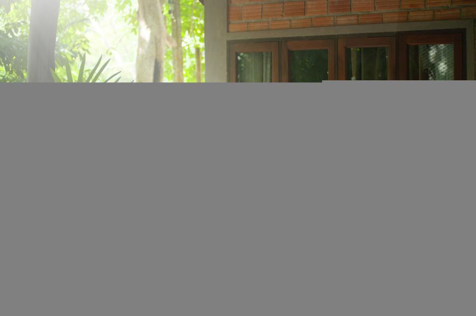 Free Image of Woman lounging and reading in a tropical setting 
