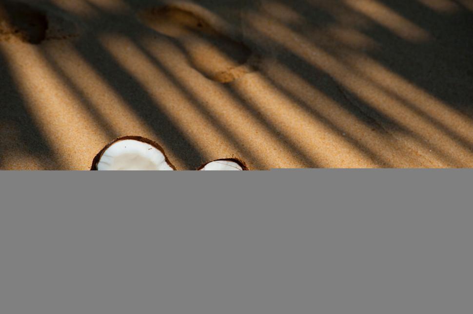 Free Image of Split coconut on sandy beach in sun rays 