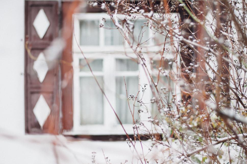 Free Image of Snowy branches against a rustic window 