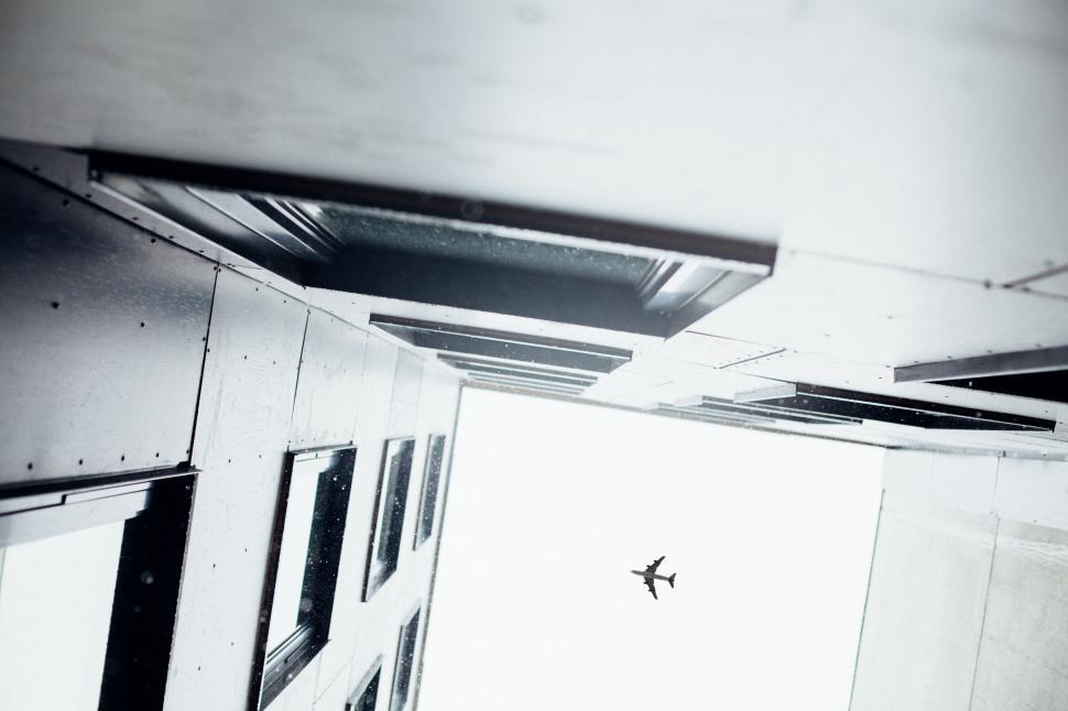 Free Image of Bird flying between high-rise buildings 