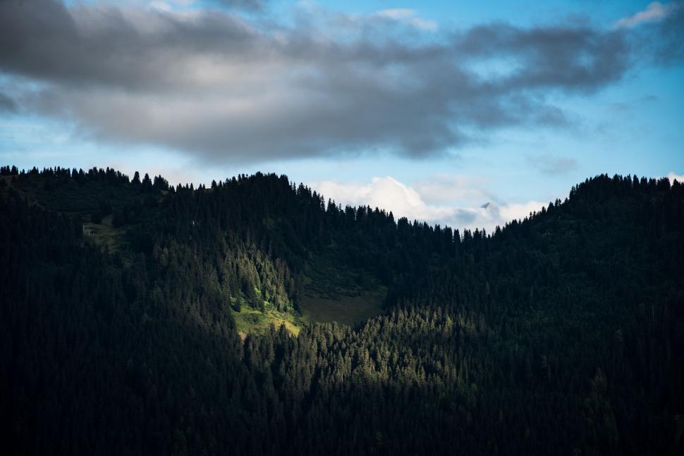 Free Image of Lush green hills under shadow and light 
