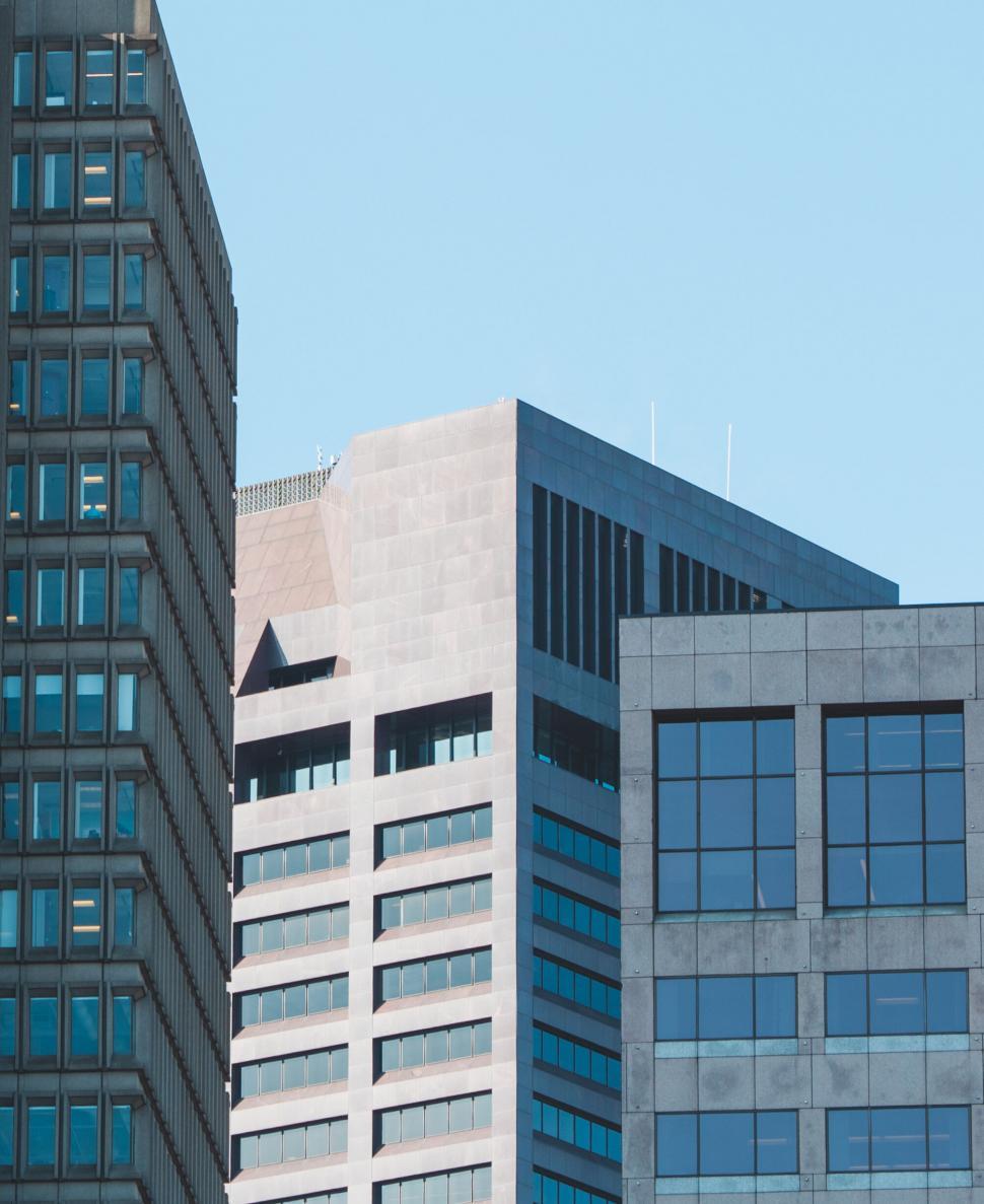 Free Image of Modern skyscrapers with contrasting architectures 
