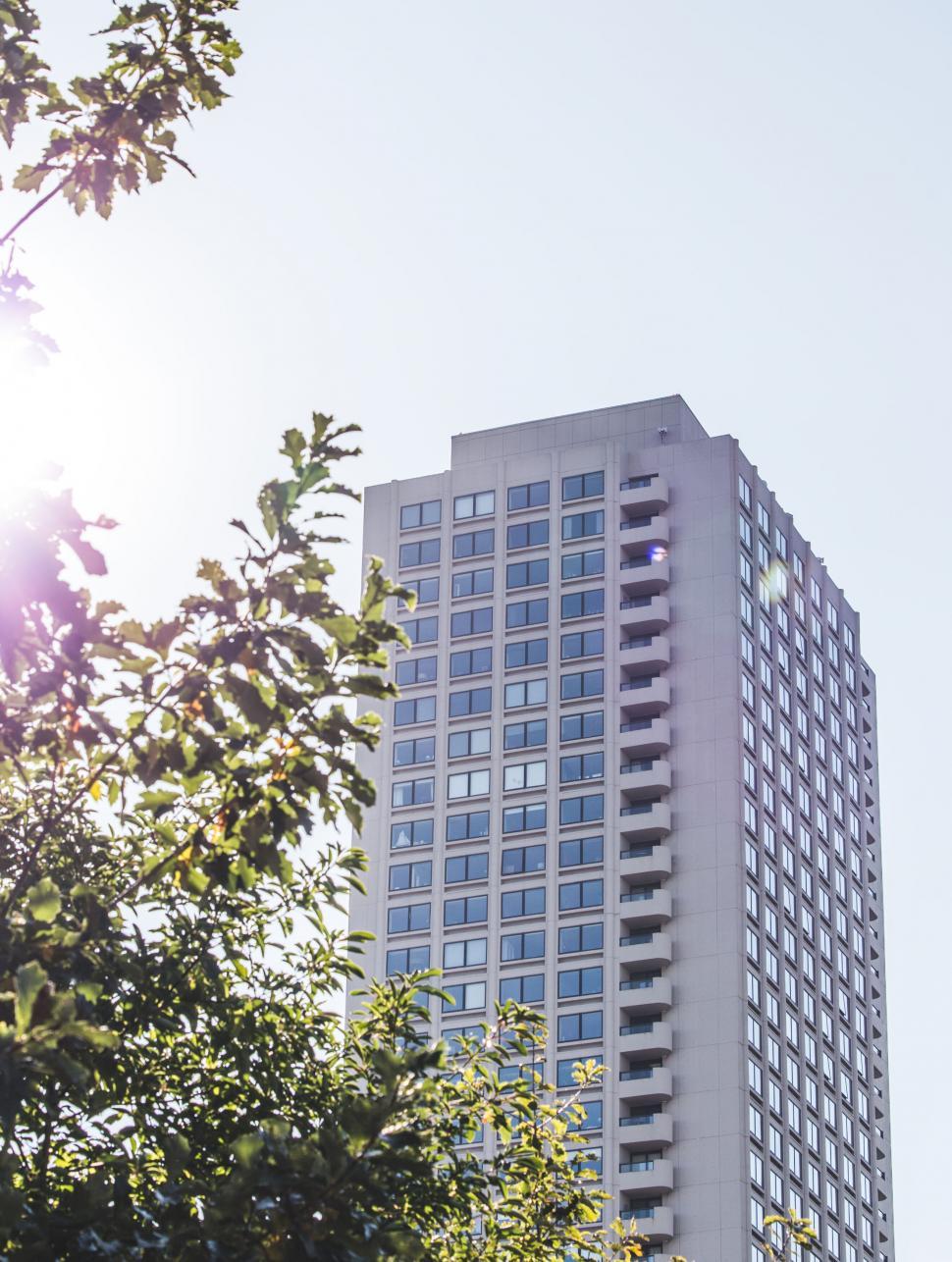 Free Image of Residential tower with trees in the foreground 