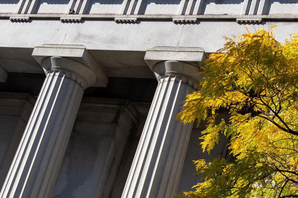 Free Image of Classical architecture with autumn leaves 