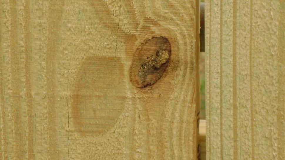 Free Image of Various yard objects 