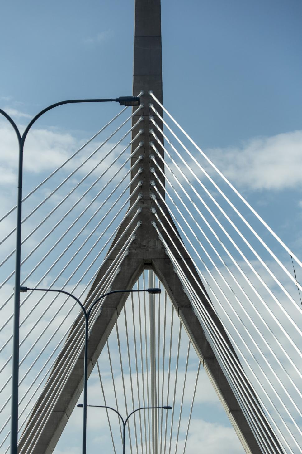 Free Image of Clear day at a modern cable-stayed bridge 
