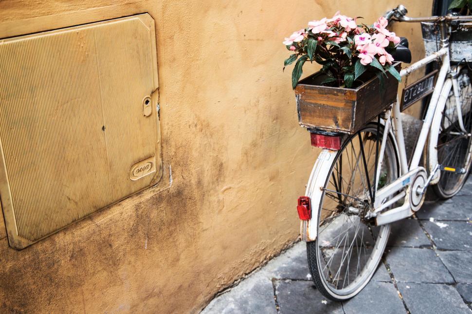 Free Image of Bicycle with flowers against a wall 