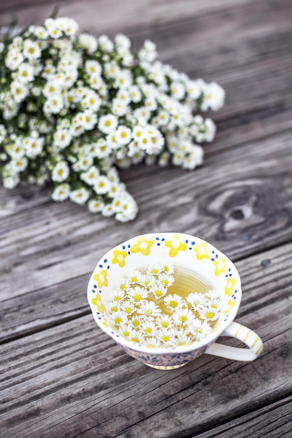 Free Image of Cup of tea with daisy flowers 