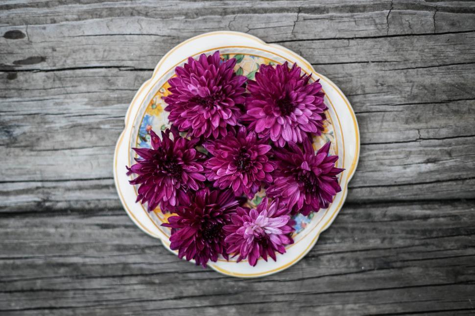 Free Image of Purple flowers on vintage plate 